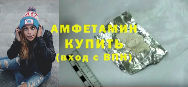 стаф Алзамай
