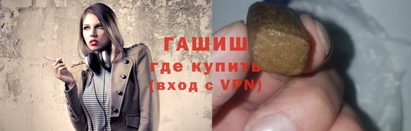 стаф Алзамай