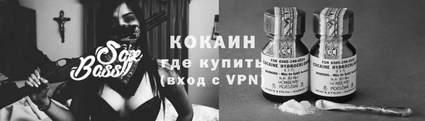 СК Дмитровск