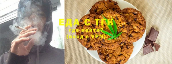 стаф Алзамай