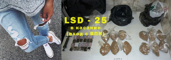 стаф Алзамай