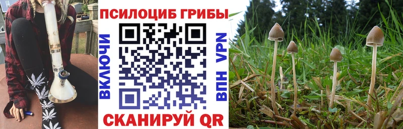 ссылка на мегу зеркало  Обоянь  Псилоцибиновые грибы ЛСД 
